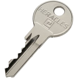 Cylindre à double entrée 5 goupilles 5G laiton nickelé 30x30 - HERACLES -